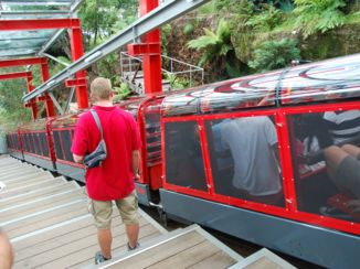 Australie - dood eng met treintje in blue mountens