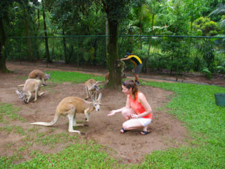 Australie - Steve irwin australia zoo