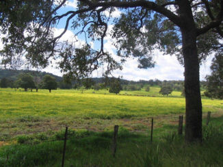 Australie - Nabij Serpetine