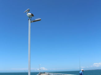 Australie - Op de pier van Urangan.
