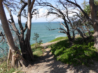 Australie - Noosa National Park