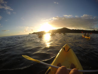 Australie - Kajakken tijdens zonsopgang met wilde dolfijnen