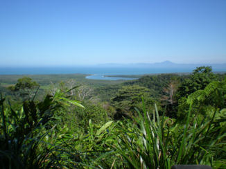 Australie - Cape Tribulation