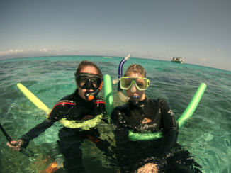 Australie - Snorkelen bij cape tribulation