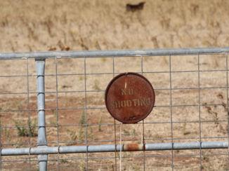 Australie - dit kom je in nederland niet tegen