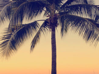 Australie - Withsunday islands