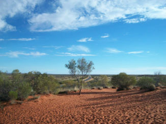 Australie - Red centre