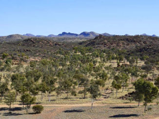 Australie - Alice Springs