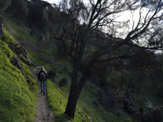 Australie - Adelaide Hills