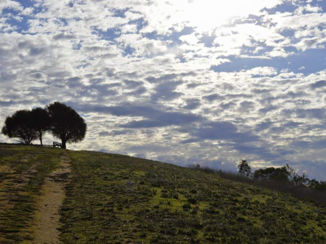 Australie - Adelaide Hills