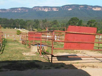 Sydney - Euroka Horse Riding