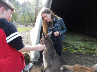 Australie - Nieuwe vriendjes maken