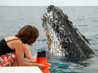 Australie - Oog in oog