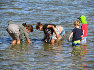 Australie - Met z'n allen proberen een stingray te aaien