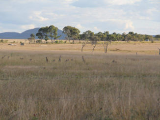 Australie - Gives peace