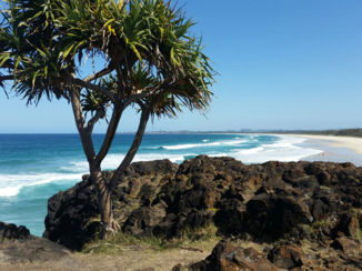 Australie - Tweedbeach