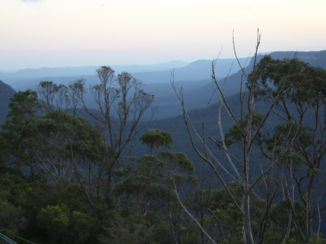 Australie - The Blue mountains. Echt een blauwe waas .
