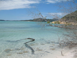 Australie - Whitsunday island