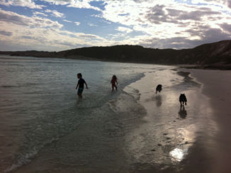 Australie - Dog-walking
