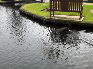 Australie - perth - queens garden