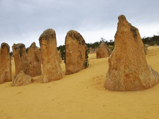 Australie - the pinnacles