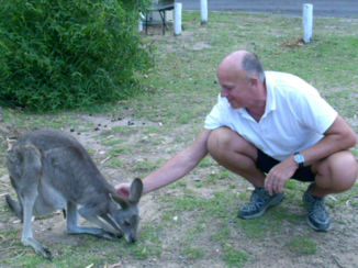 Australie - Moeder met Joey.