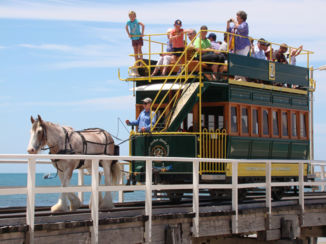 Australie - De paarden tram is gooed voor het milieu