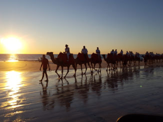 Australie - Camels on Cable Beach