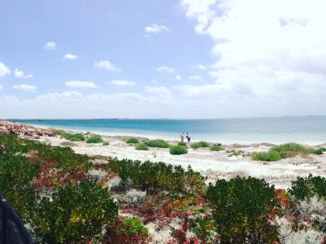 Australie - Esperance strand