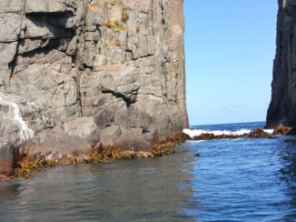 Tasmanië - Hoge bergwanden en geweldig weer om te varen