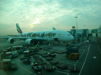 Australie - De EMIRATE