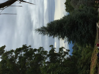 Australie - Island of pines