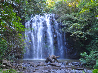 Australie - watervallen route