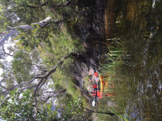 Australie - Kayakken Fraser Island