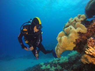 Australie - Great Barrier Reef