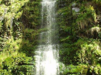 Australie - Waterval langs de Great Ocean Road