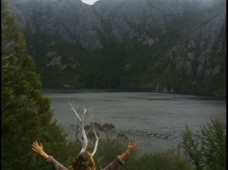 Australie - Craddle Mountain spontaneous reindeer