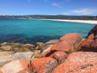 Australie - Bay of Fires - Tasmania - Australia