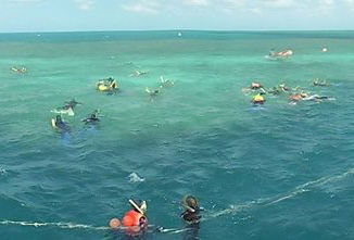 Australie - Snorkelen of duiken in het Great Barrier reef