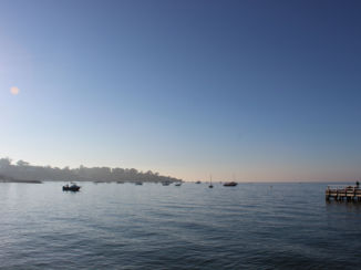 Australie - Sorrento, Moonraker Dolphin Swim