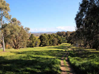 Canberra - stadspark Bundle's hill