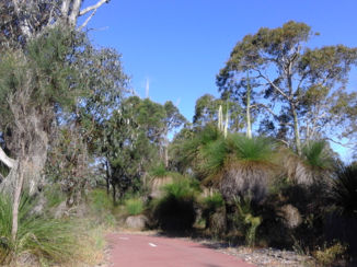 Western Australia - Fietspad