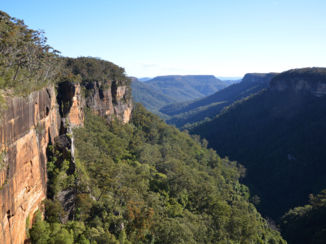 Australie - Fitzroy falls