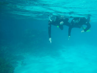 Australie - Great Barrier Reef