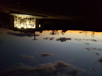 Queensland - Milking dutch cows