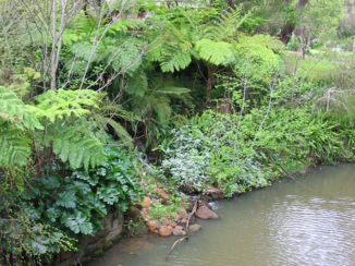 Western Australia - Mooie parken