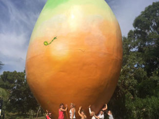 Australie - Mango !