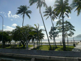 Australie - Cairns