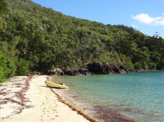 Whitsunday Islands - Whitsunday Island