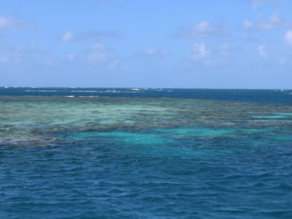 Australie - Great barrier reef